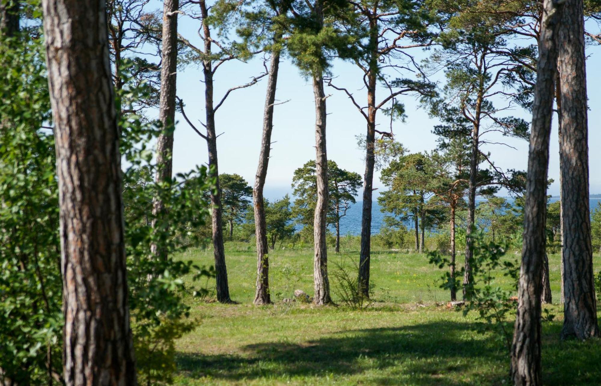 Gotlands Idrottscenter Holiday park *